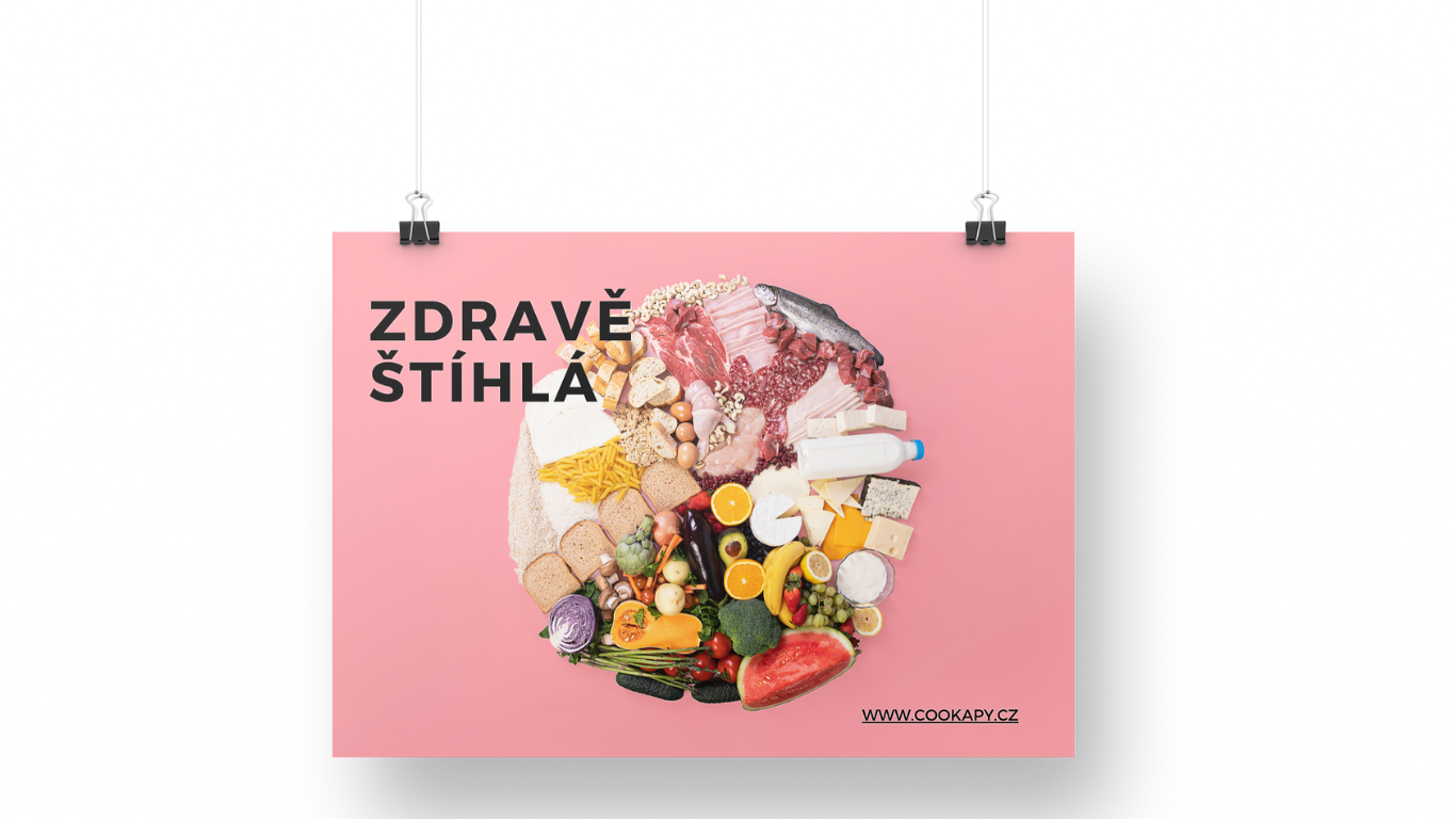 ZDRAVĚ ŠTÍHLÁ
