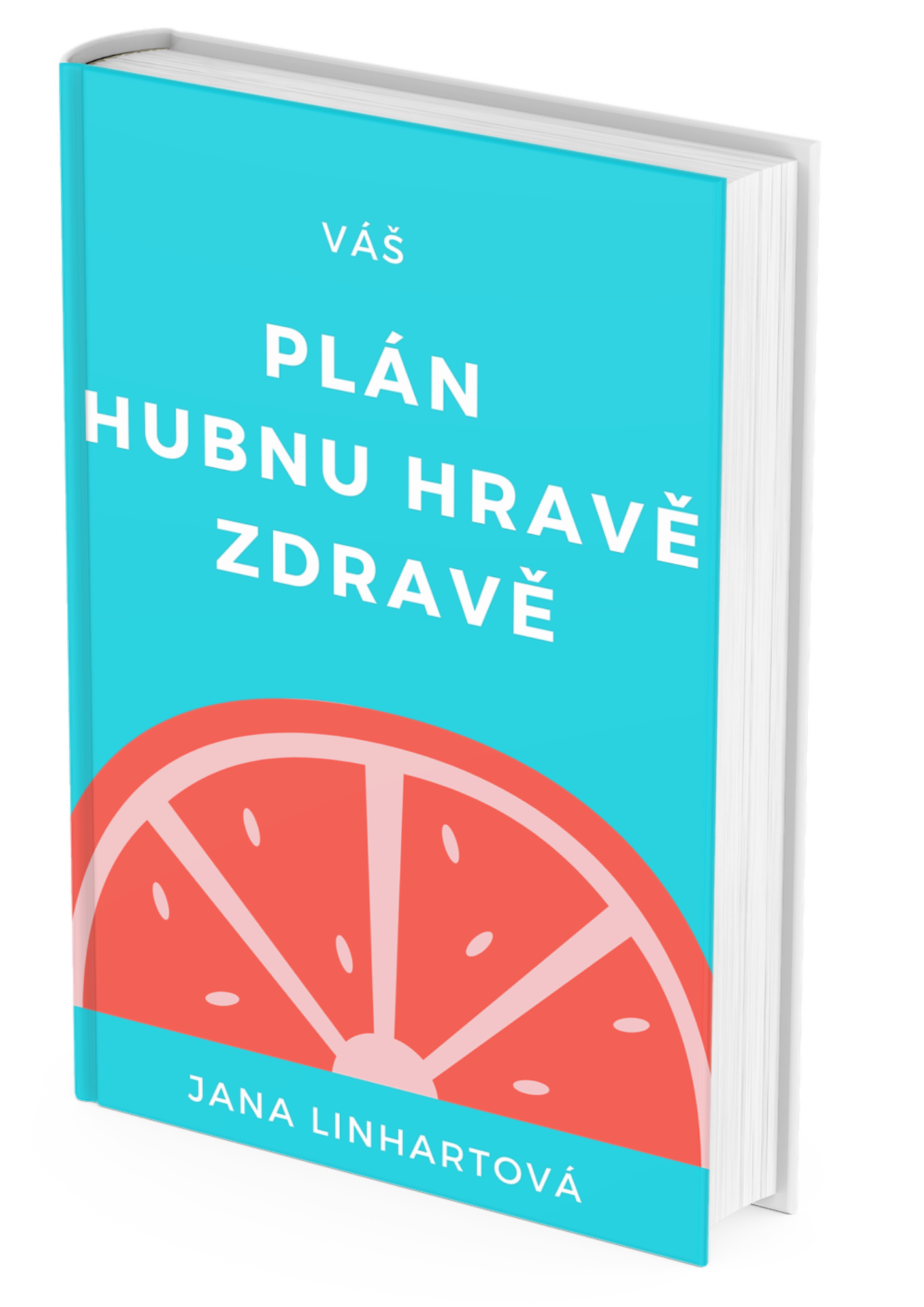obálka_PLÁN HUBNU HRAVĚ ZDRAVĚ plán na hubnutí